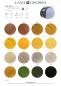 Preview: Cool Wool 2025 Farbkarte 5